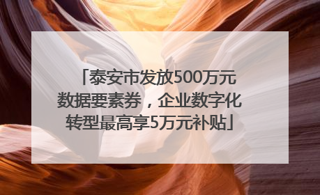 泰安市发放500万元数据要素券，企业数字化转型最高享5万元补贴