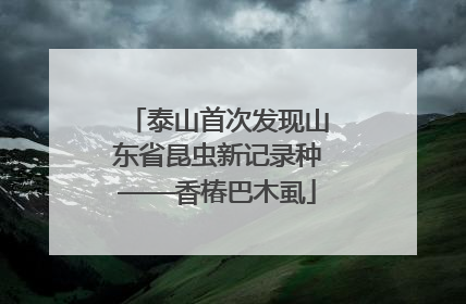 泰山首次发现山东省昆虫新记录种——香椿巴木虱