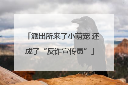 派出所来了小萌宠 还成了“反诈宣传员”