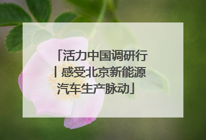 活力中国调研行丨感受北京新能源汽车生产脉动