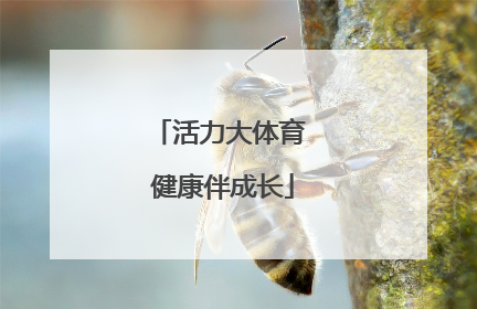 活力大体育 健康伴成长