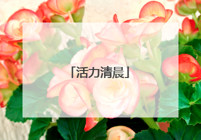 活力清晨
