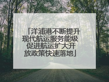 洋浦港不断提升现代航运服务能级 促进航运扩大开放政策快速落地
