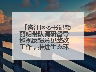 洛江区委书记颜丽明带队调研督导巡视反馈意见整改工作，推进生态环境保护建设
