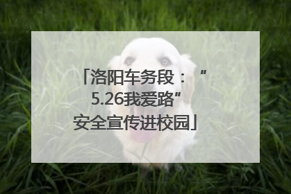 洛阳车务段：“5.26我爱路”安全宣传进校园