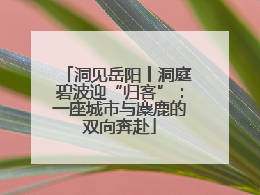 洞见岳阳丨洞庭碧波迎“归客”：一座城市与麋鹿的双向奔赴