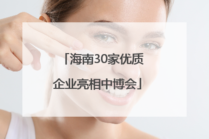 海南30家优质企业亮相中博会