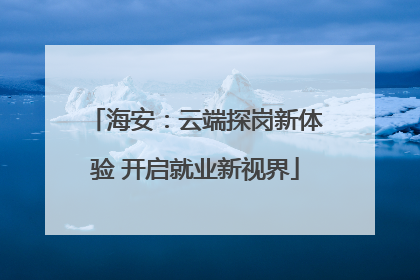 海安：云端探岗新体验 开启就业新视界