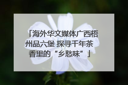 海外华文媒体广西梧州品六堡 探寻千年茶香里的“乡愁味”