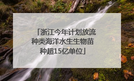浙江今年计划放流种类海洋水生生物苗种超15亿单位