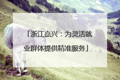 浙江嘉兴：为灵活就业群体提供精准服务