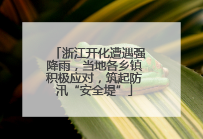 浙江开化遭遇强降雨，当地各乡镇积极应对，筑起防汛“安全堤”