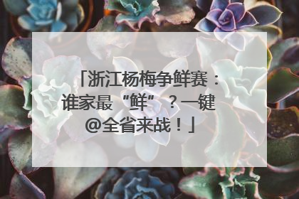 浙江杨梅争鲜赛：谁家最“鲜”？一键@全省来战！