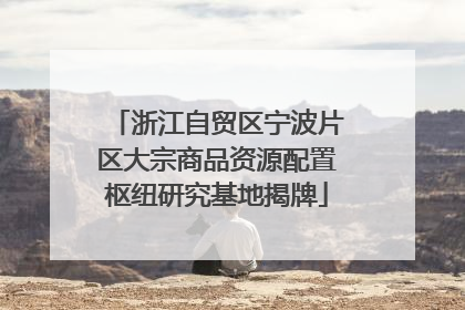 浙江自贸区宁波片区大宗商品资源配置枢纽研究基地揭牌
