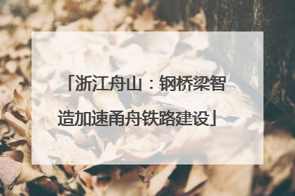 浙江舟山：钢桥梁智造加速甬舟铁路建设