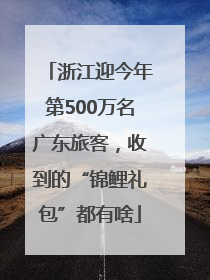 浙江迎今年第500万名广东旅客，收到的“锦鲤礼包”都有啥