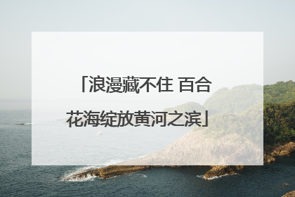 浪漫藏不住 百合花海绽放黄河之滨