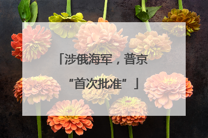 涉俄海军，普京“首次批准”