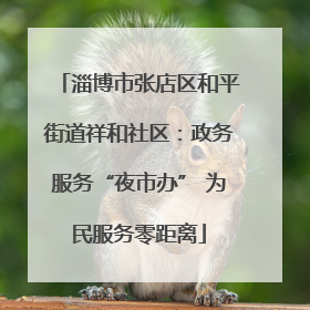 淄博市张店区和平街道祥和社区：政务服务“夜市办” 为民服务零距离