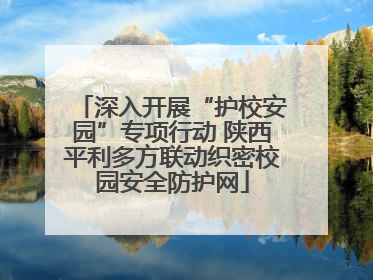 深入开展“护校安园”专项行动 陕西平利多方联动织密校园安全防护网