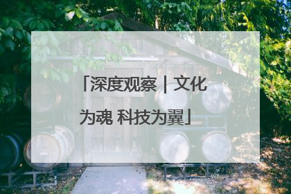 深度观察｜文化为魂 科技为翼