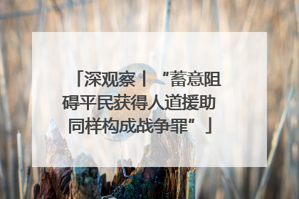 深观察丨“蓄意阻碍平民获得人道援助同样构成战争罪”
