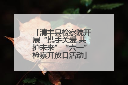 清丰县检察院开展“携手关爱 共护未来”“六一”检察开放日活动