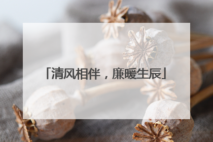 清风相伴，廉暖生辰
