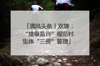 清风头条丨双牌：“提级监督”规范村集体“三资”管理