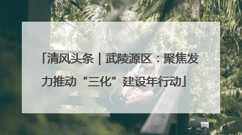 清风头条｜武陵源区：聚焦发力推动“三化”建设年行动