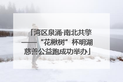 湾区泉涌·南北共擎——“花楸树”杯明湖慈善公益跑成功举办