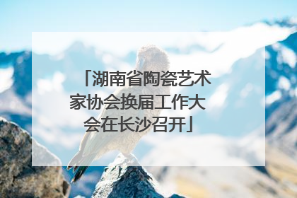湖南省陶瓷艺术家协会换届工作大会在长沙召开