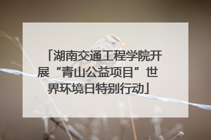 湖南交通工程学院开展“青山公益项目”世界环境日特别行动