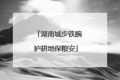 湖南城步铁腕护耕地保粮安