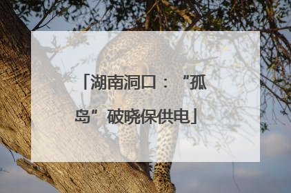 湖南洞口：“孤岛”破晓保供电