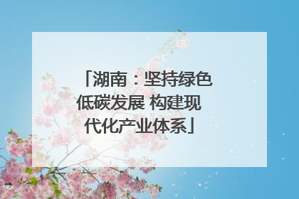 湖南：坚持绿色低碳发展 构建现代化产业体系