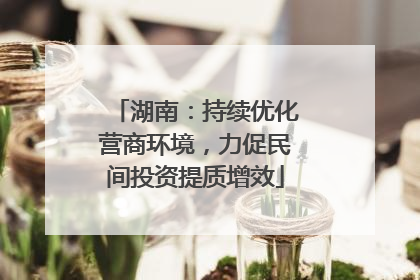 湖南：持续优化营商环境，力促民间投资提质增效