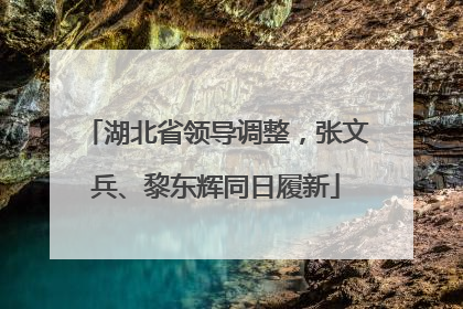 湖北省领导调整，张文兵、黎东辉同日履新