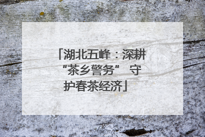 湖北五峰：深耕“茶乡警务” 守护春茶经济
