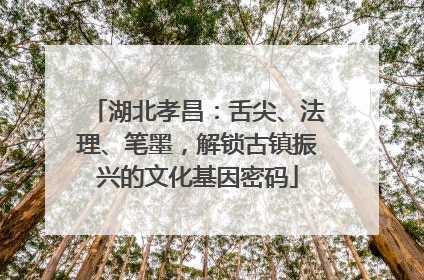 湖北孝昌：舌尖、法理、笔墨，解锁古镇振兴的文化基因密码