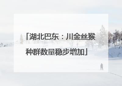 湖北巴东：川金丝猴种群数量稳步增加