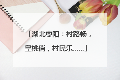 湖北枣阳：村路畅，皇桃俏，村民乐……