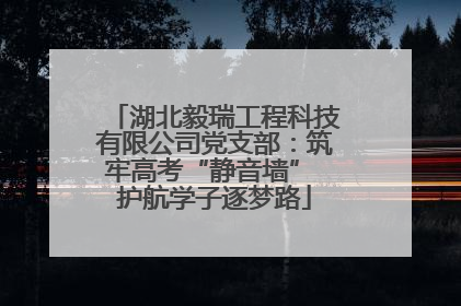 湖北毅瑞工程科技有限公司党支部：筑牢高考“静音墙” 护航学子逐梦路