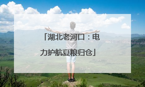 湖北老河口：电力护航夏粮归仓