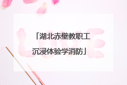 湖北赤壁教职工沉浸体验学消防