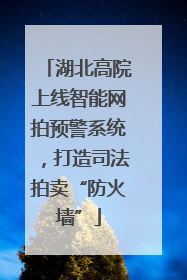 湖北高院上线智能网拍预警系统，打造司法拍卖“防火墙”