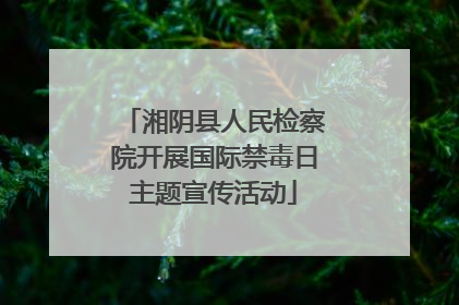 湘阴县人民检察院开展国际禁毒日主题宣传活动