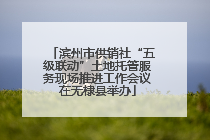 滨州市供销社“五级联动”土地托管服务现场推进工作会议在无棣县举办