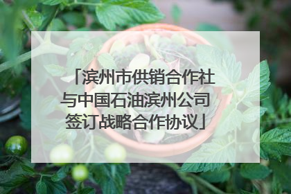 滨州市供销合作社与中国石油滨州公司签订战略合作协议
