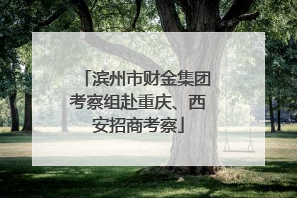 滨州市财金集团考察组赴重庆、西安招商考察